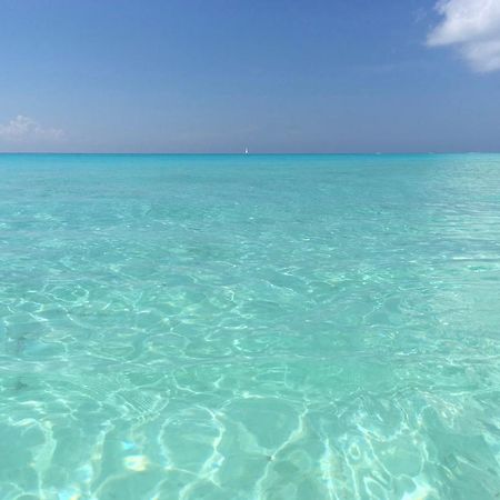 B&B Villa Hibiscus Πλάγια Ντελ Κάρμεν Εξωτερικό φωτογραφία